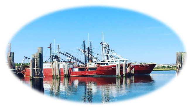 Long Beach Island Buyers | LBI NJ Real Estate | Long Beach Island New Jersey