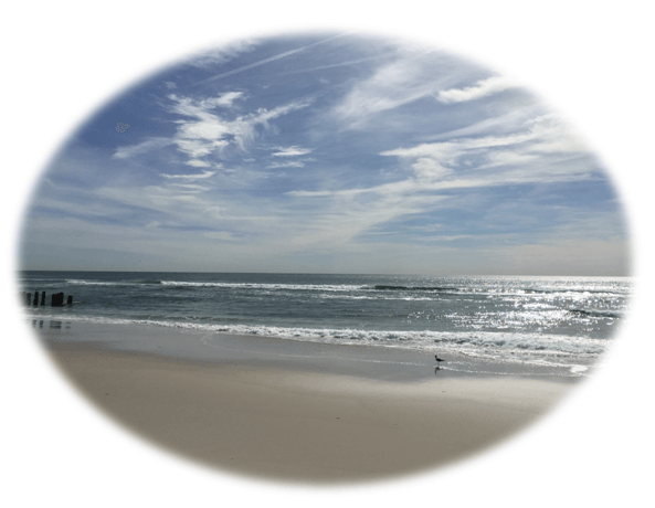 Long Beach Island Buyers | LBI NJ Real Estate | Long Beach Island New JerseyLong Beach Island Buyers | LBI NJ Real Estate | Long Beach Island New Jersey