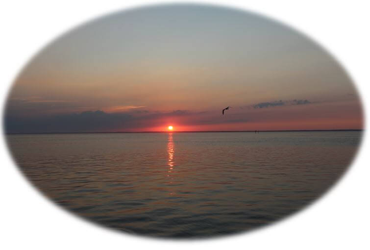 Long Beach Island Buyers | LBI NJ Real Estate | Long Beach Island New Jersey