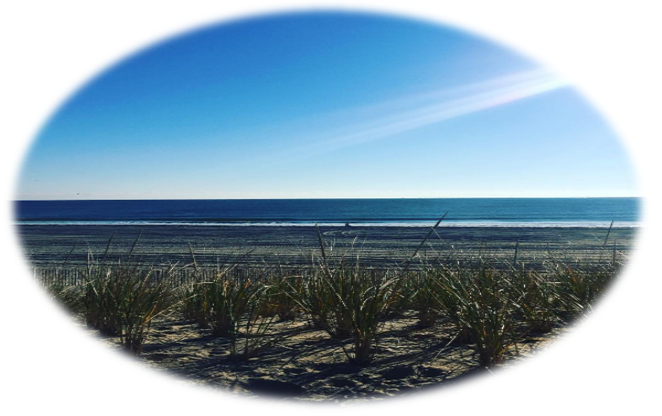 Long Beach Island Buyers | LBI NJ Real Estate | Long Beach Island New Jersey